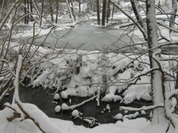 Biberdamm im Schnee