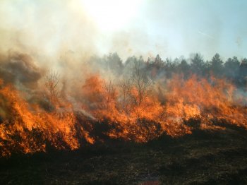 Entretien par le feu de la Drover Heide