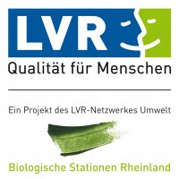 Logo des Landschaftsverbands Rheinland