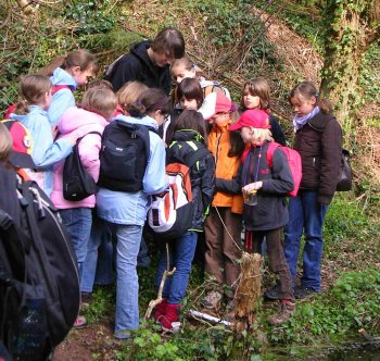 Exkursion in die Natur mit Schulkindern