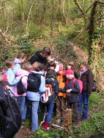 Classe scolaire en excursion avec la station biologique