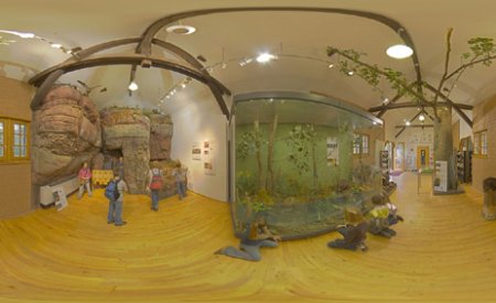 Blick in die Ausstellung Rur und Fels in der Biostation