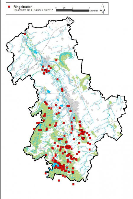 Verbreitungskarte Ringelnatter im Kreis Dren