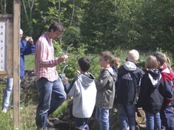 Excursion avec des coliers