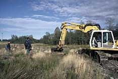 Action de conservation et de protection  Todtenbruch (marais)