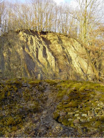 Schiefersteinbruch nach Freistellung 